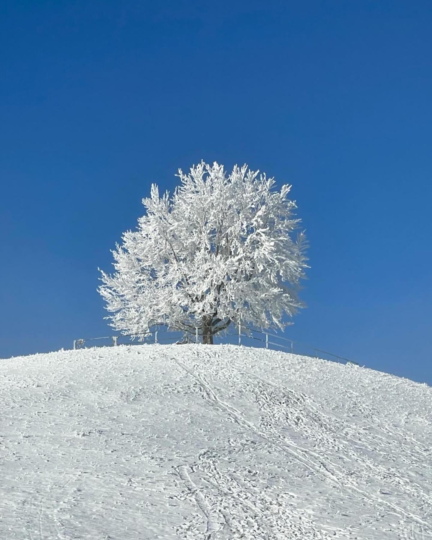 Appartamento Am Kohlenberg Waldburg Esterno foto